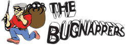 Bugnappers